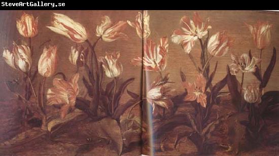 Jacob Gerritsz Cuyp Tulip Field (mk14)